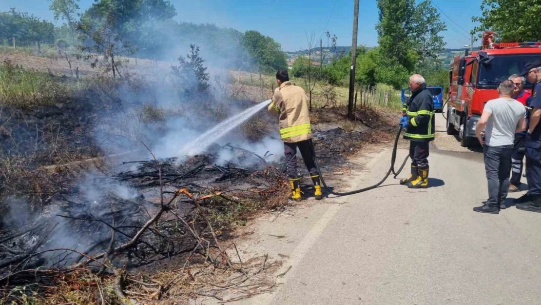 Sinop'ta Kuru Dallar Yandı, Elektrik Direği Zarar Gördü