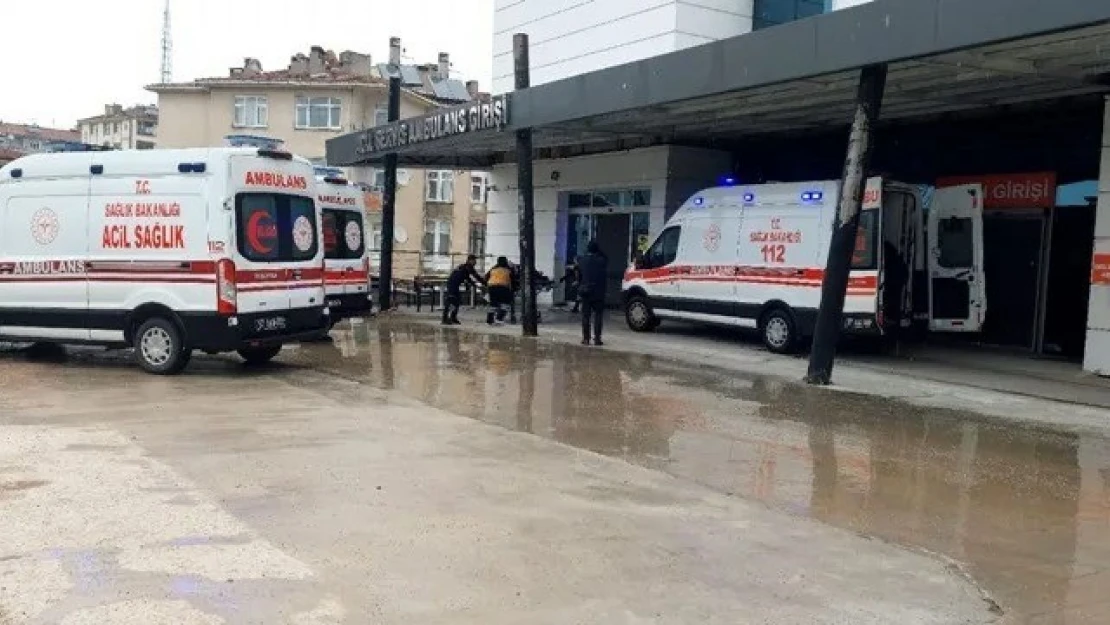 Sinop'ta Mantar Zehirlenmesi