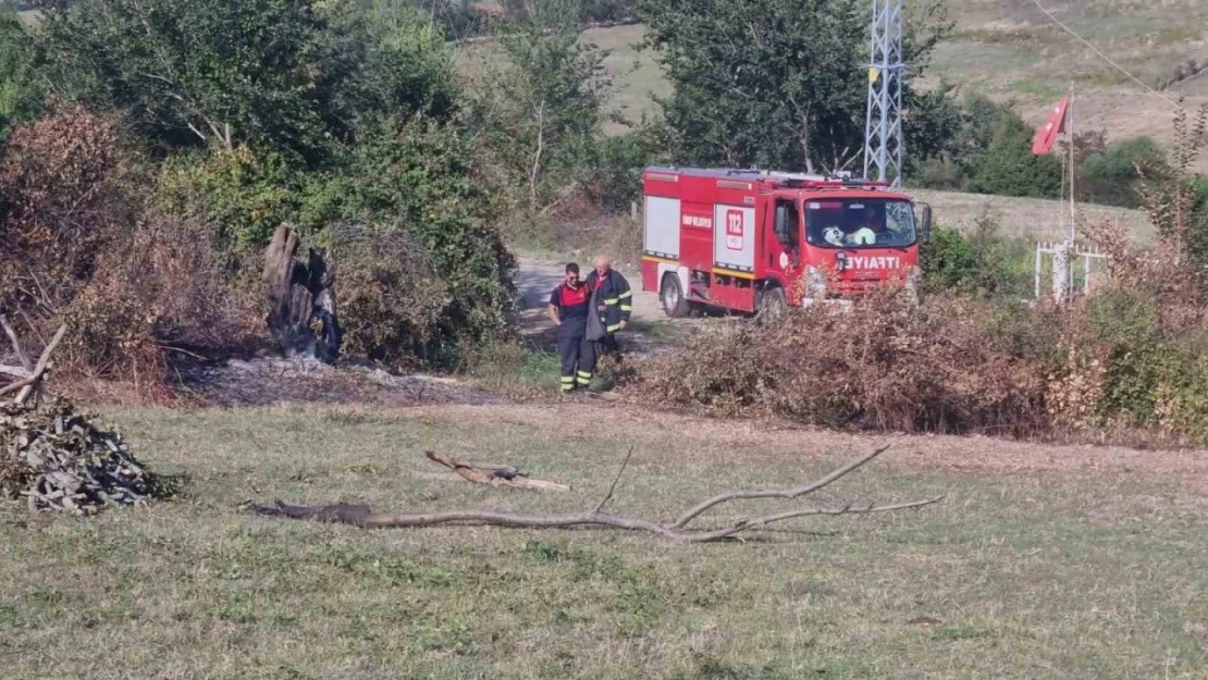 Sinop'ta Otların Yakılması Paniğe Neden Oldu