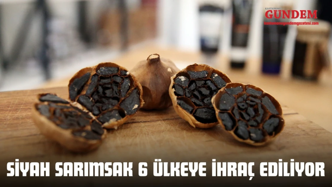 Siyah Sarımsak 6 Ülkeye İhraç Ediliyor