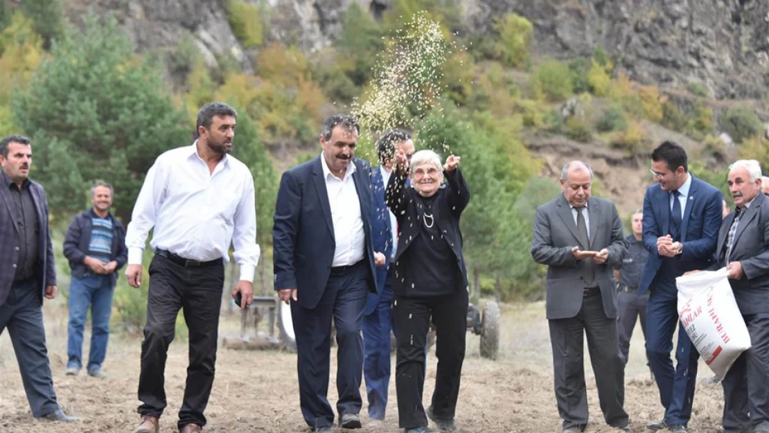 'Siyez altın değerinde'