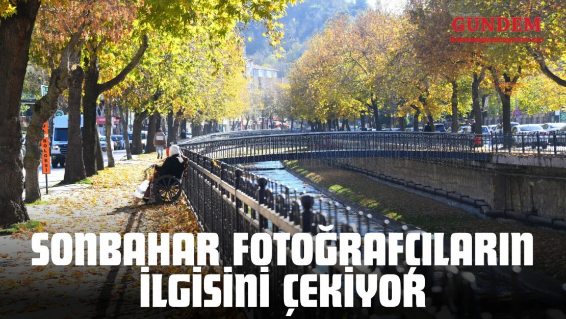 Sonbahar Fotoğrafçıların İlgisini Çekiyor