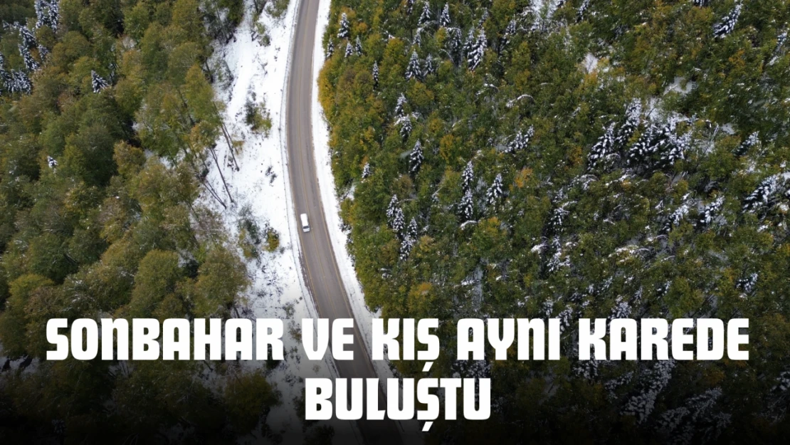 Sonbahar Ve Kış Aynı Karede Buluştu