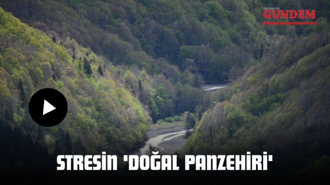 Stresin 'Doğal Panzehiri'