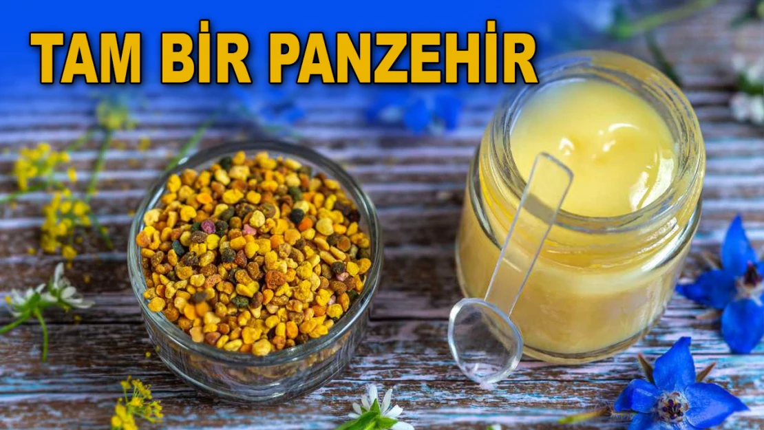 Tam Bir Panzehir