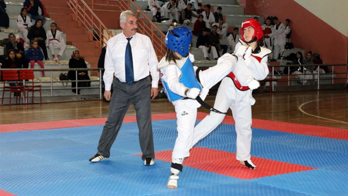 Tandoğan, Taekwondo'ya doydu