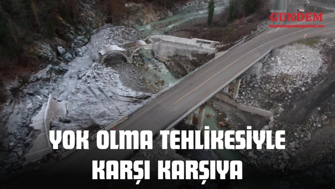 Tarihi Köprü Yok Olma Tehlikesiyle Karşı Karşıya