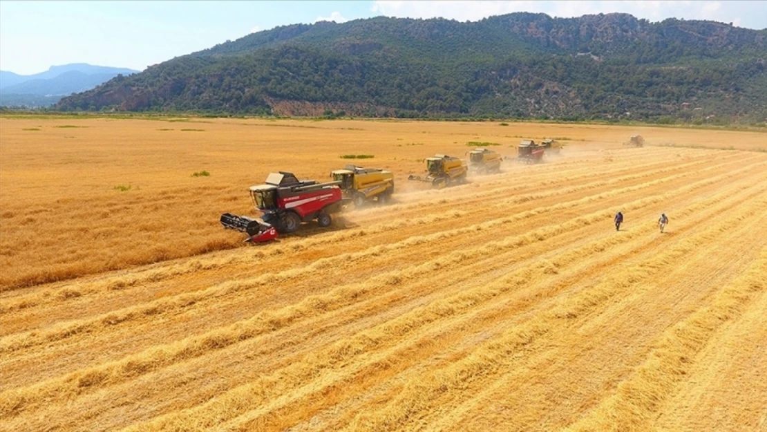 Tarım-GFE Yüzde 2,03 Arttı