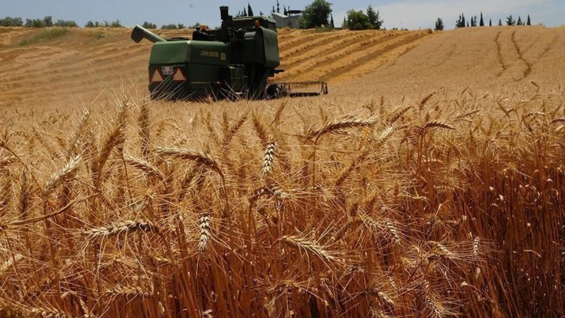 Tarım Sigortalarında Toplam Sigorta Bedeli Yüzde 115,5 Arttı