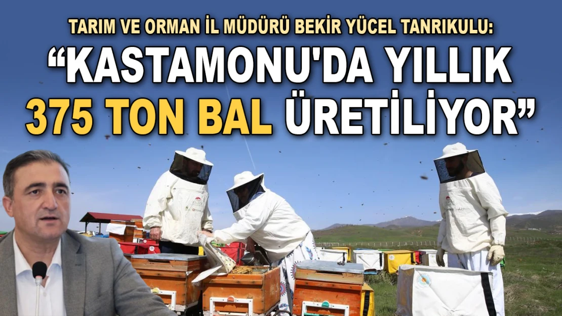 Tarım Ve Orman İl Müdürü Tanrıkulu: 'Kastamonu'da Yıllık 375 Ton Bal Üretiliyor'