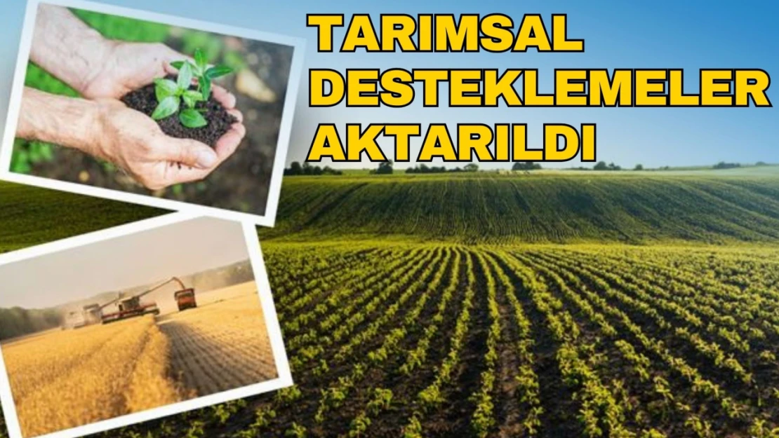 Tarımsal Desteklemeler Aktarıldı