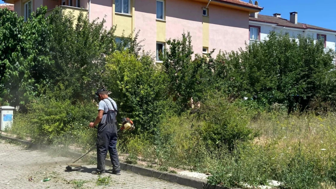 Taşköprü Belediyesi Sahada Çalışıyor