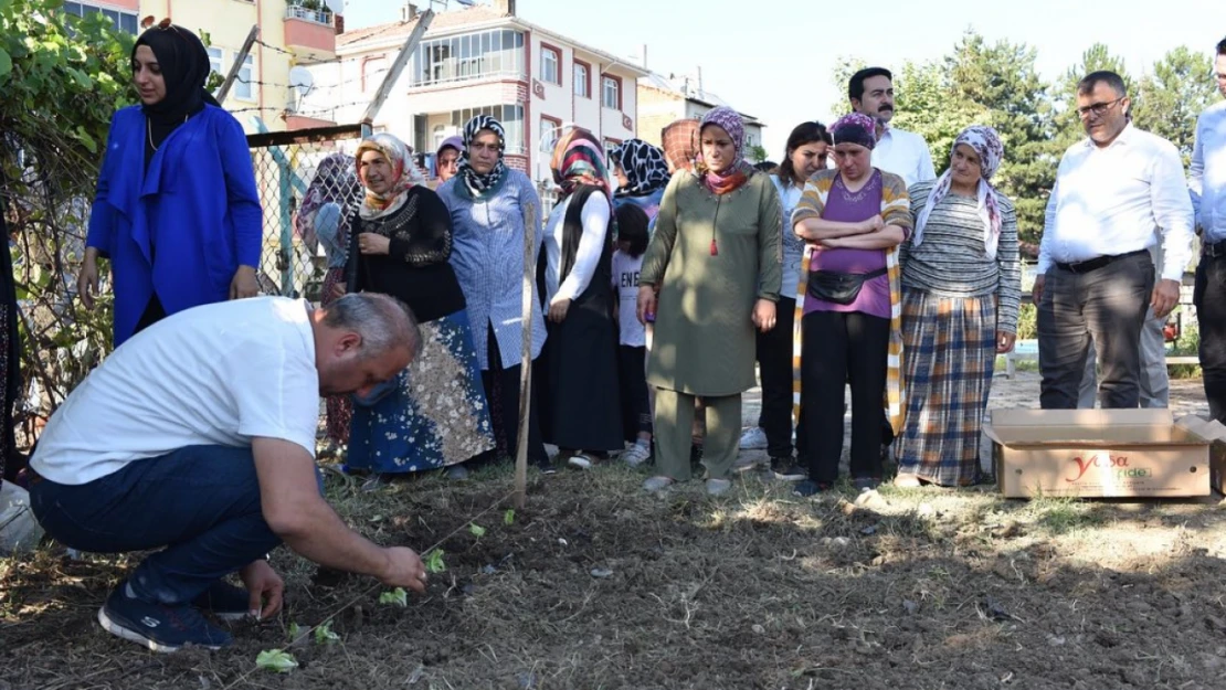 Taşköprü'de fideler toprakla buluştu