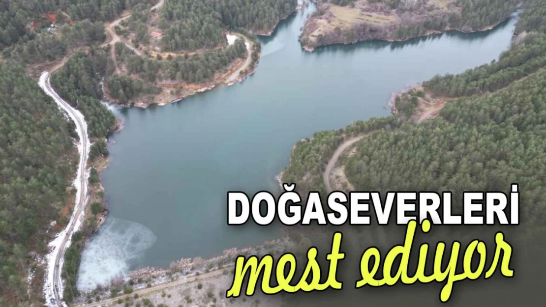 Tescillenen Gölet Doğaseverleri Mest Ediyor