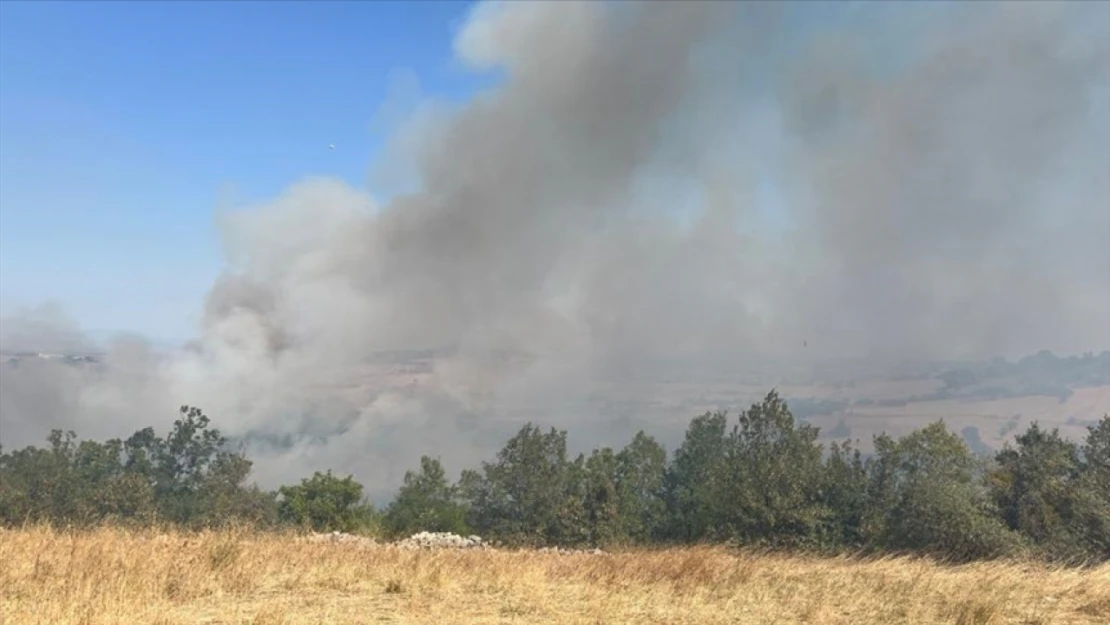 Tosya'da Arazi Yangını