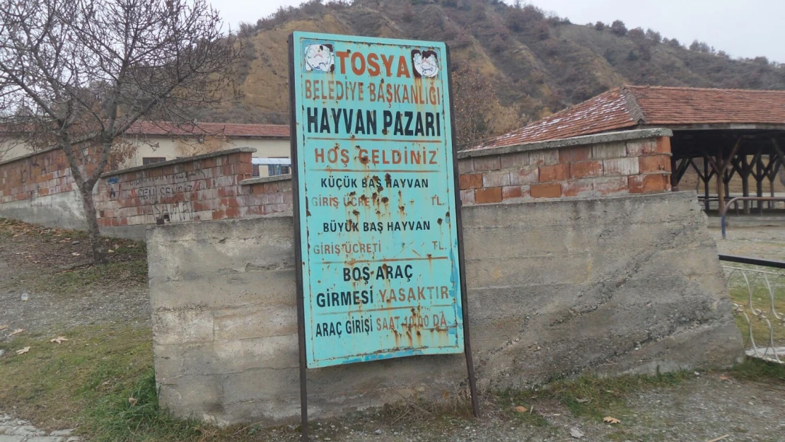 Tosya Hayvan Pazarı'nda şap hortladı