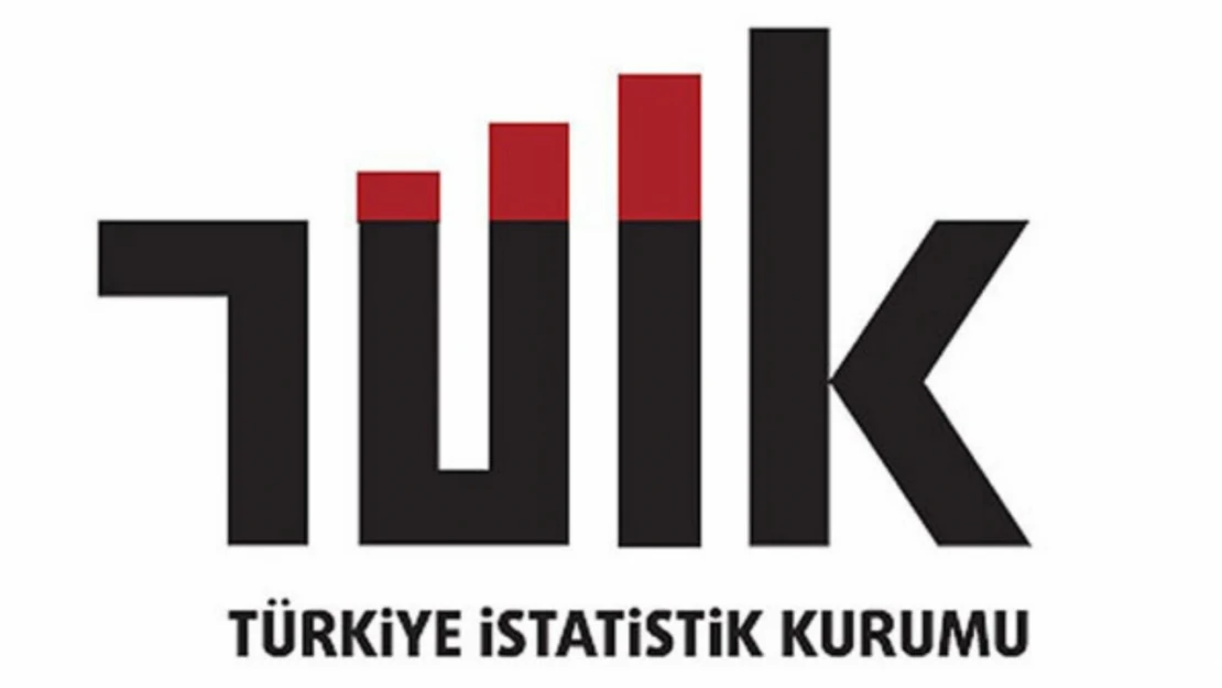 TÜİK Gelir Dağılımı İstatistikleri'ni açıkladı.