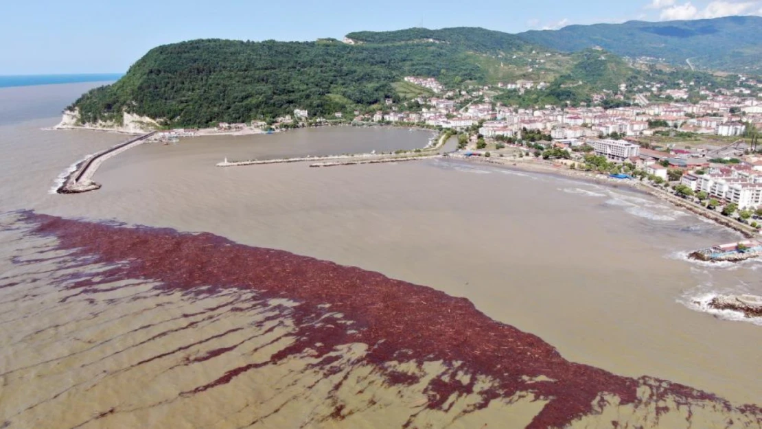 Turistlerin yerini çamur aldı