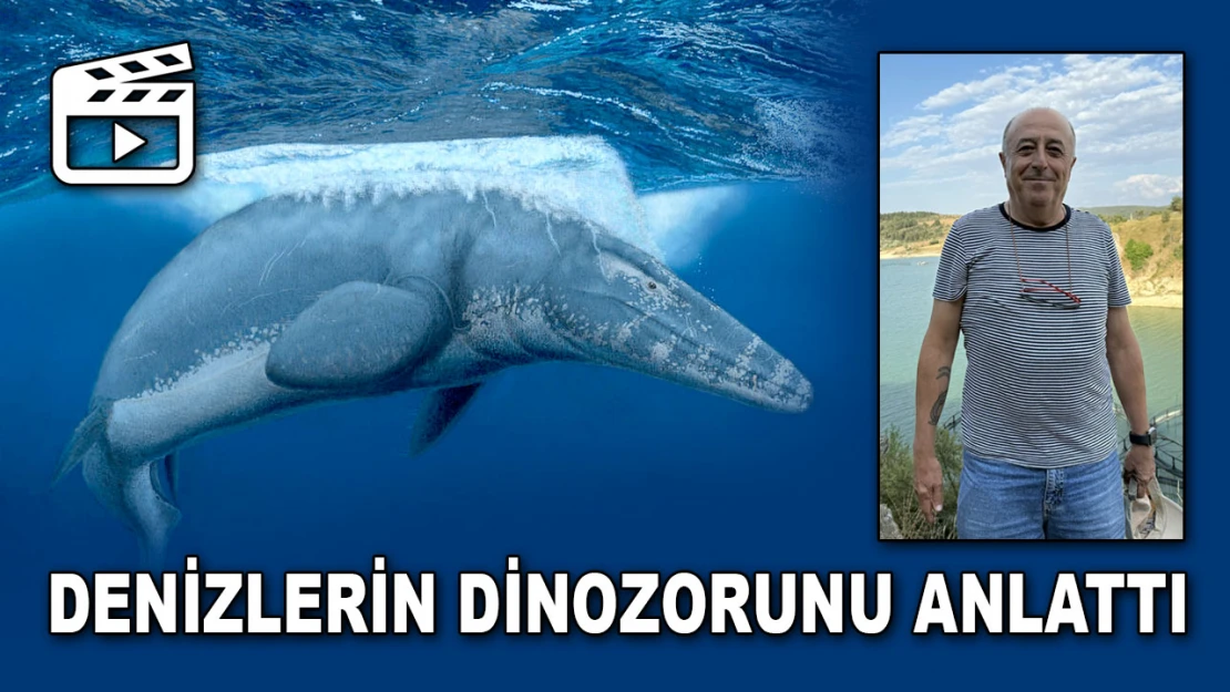 Türk Profesör Denizlerin Dinozorunu Anlattı