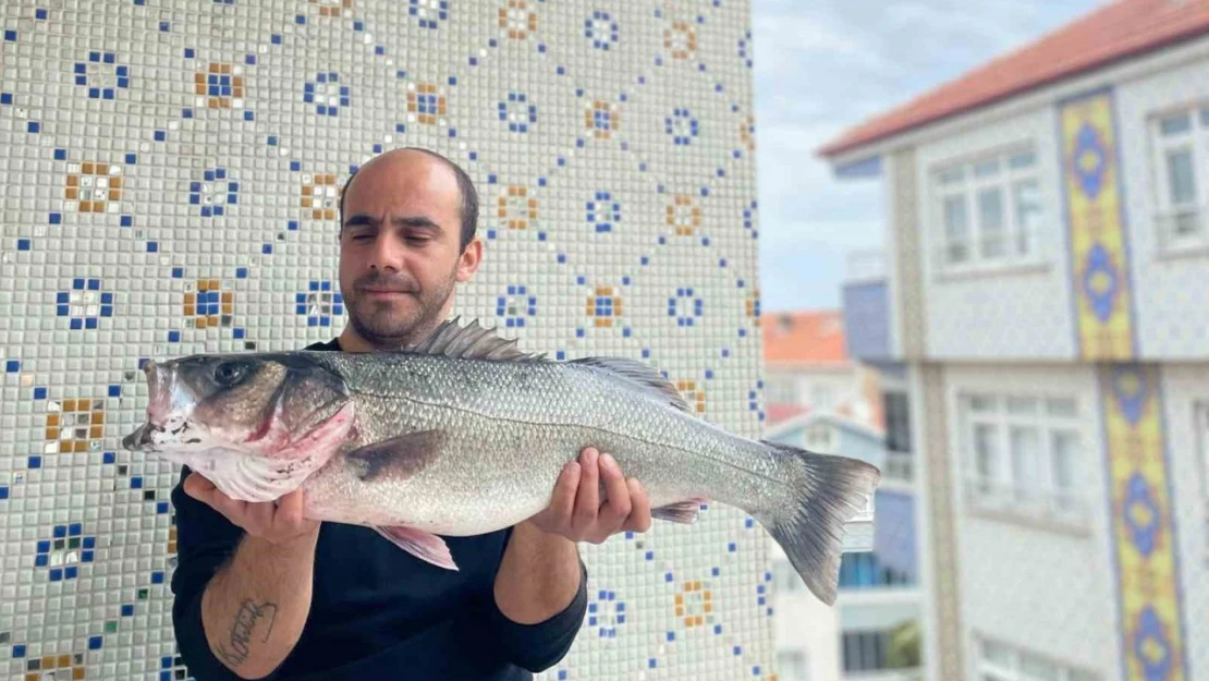 7,5 Kiloluk Dev Levrek Yakalandı