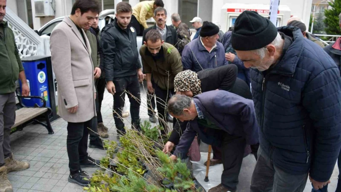 Türkeli'de Ücretsiz Fidan Dağıtıldı