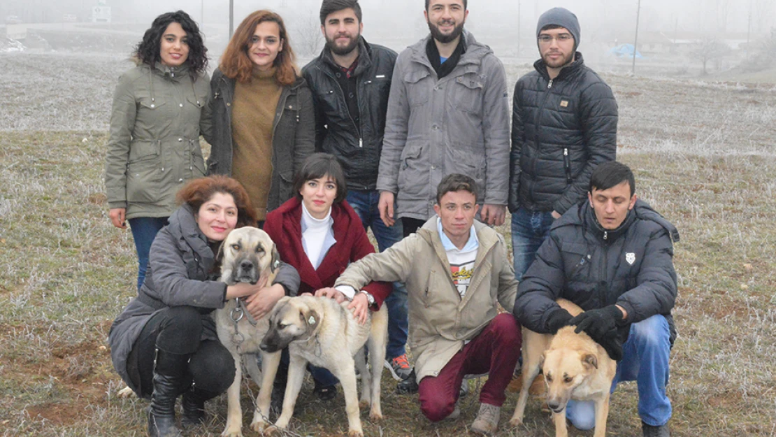Üniversiteli öğrencilerden örnek davranış