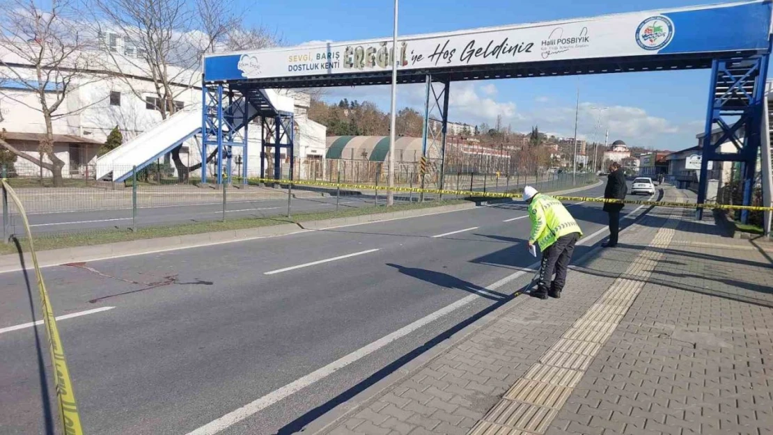 Üst Geçidi Kullanmayınca Canından Oldu