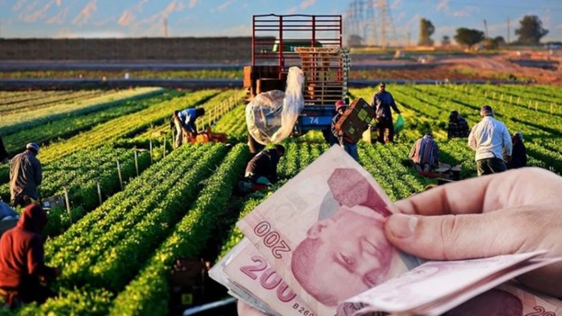Uzman Ellerin desteklenmesinde değişiklik