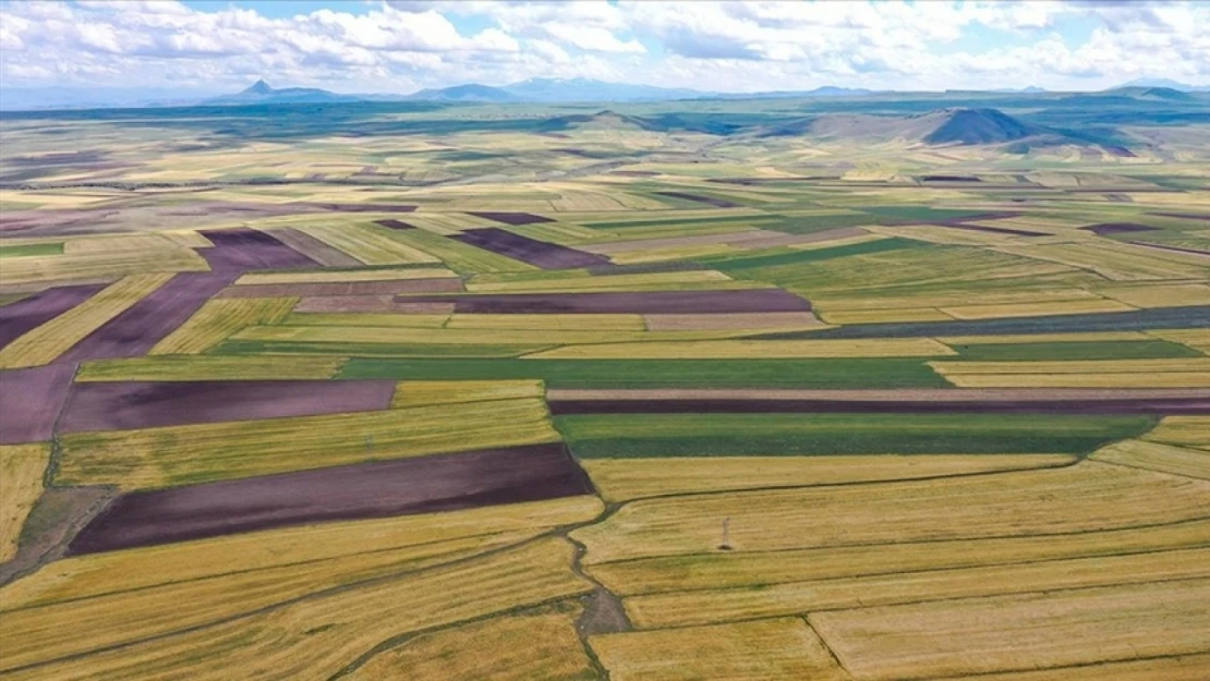 Uzmanlardan Arsa ve Tarla Alımında Uyarılar