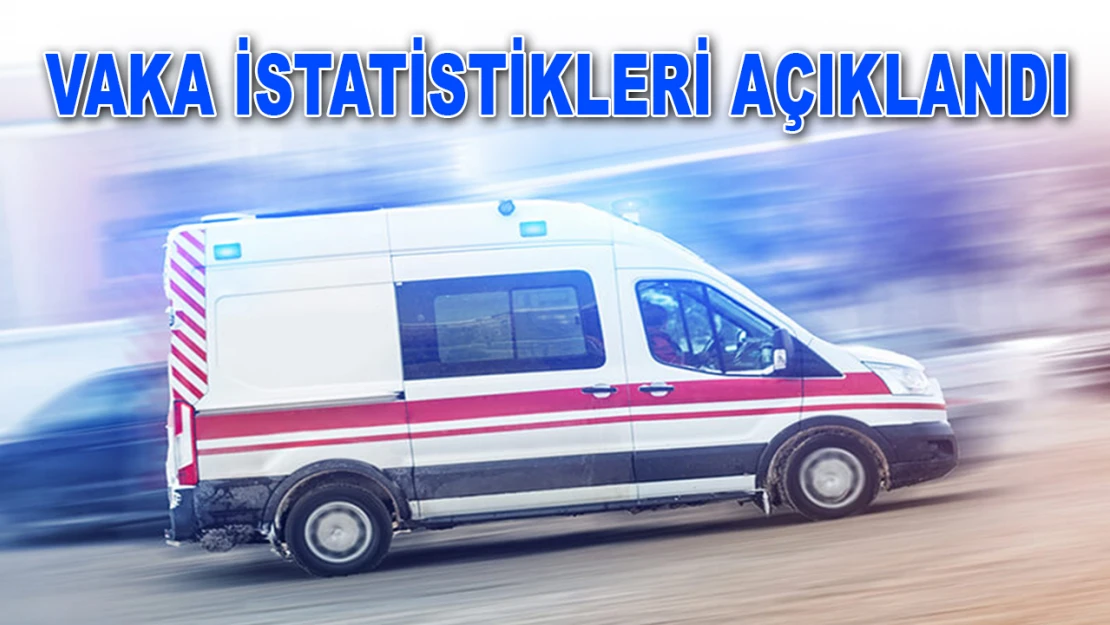 Vaka İstatistikleri Açıklandı 