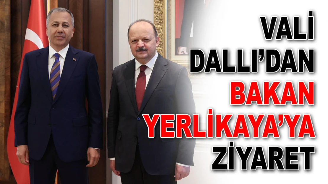 Vali Dallı'dan Bakan Yerlikaya'ya Ziyaret