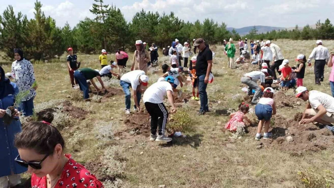 Vatandaşlar Hem Fidan Dikti Hem de Eğlendi