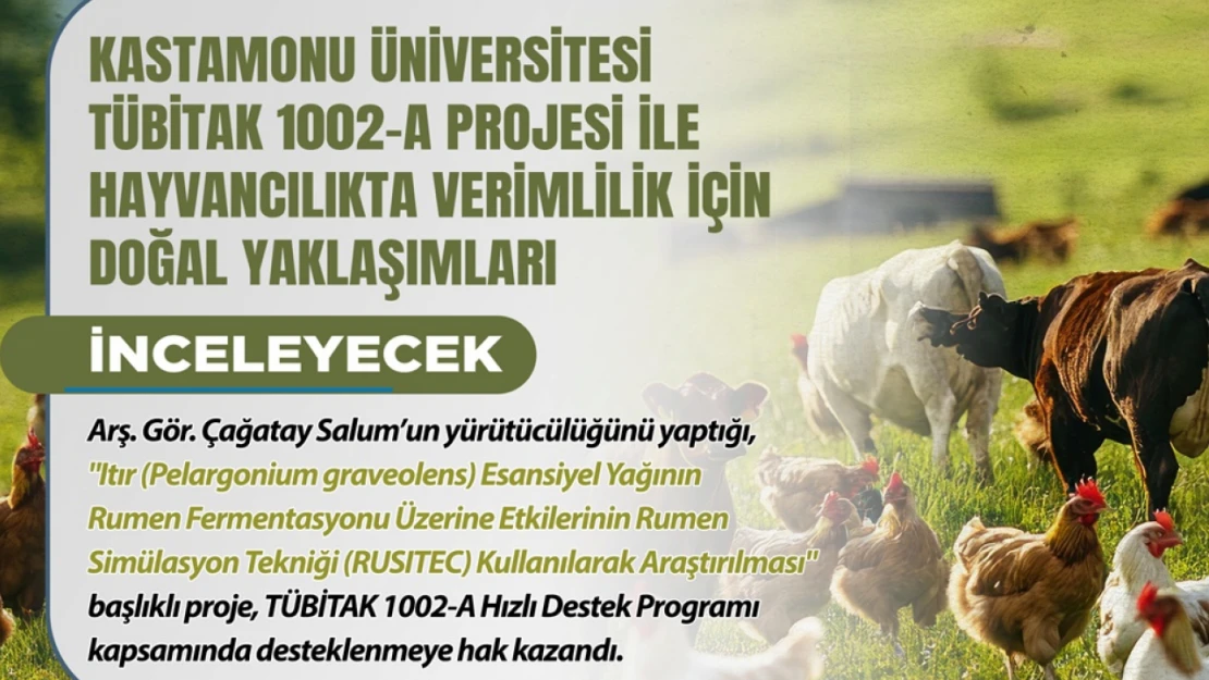 Verimlilik İçin Doğal Yaklaşımlar İncelenecek