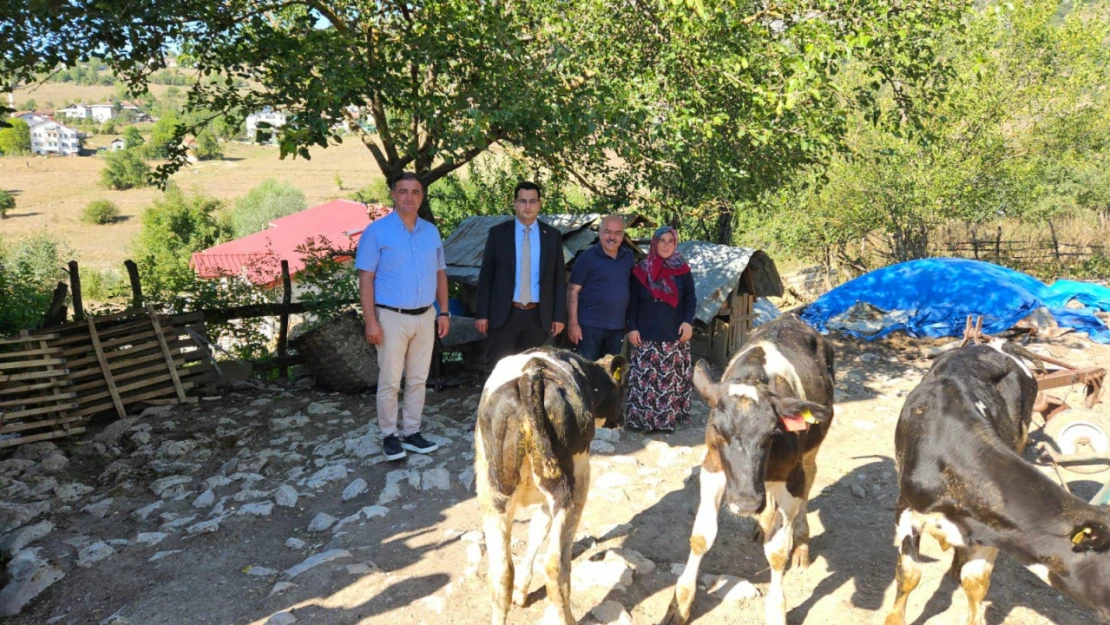 Yangınzede aileye buzağı desteği