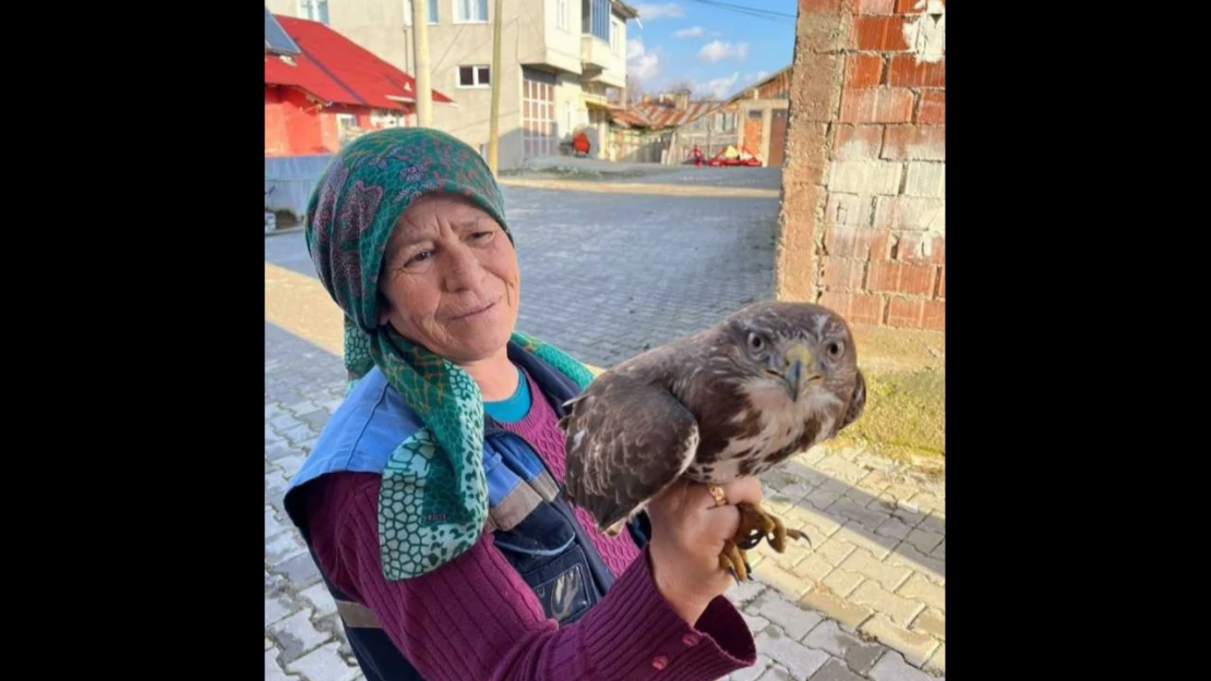 Yaralı Şahin'e, Köylüler Sahip Çıktı