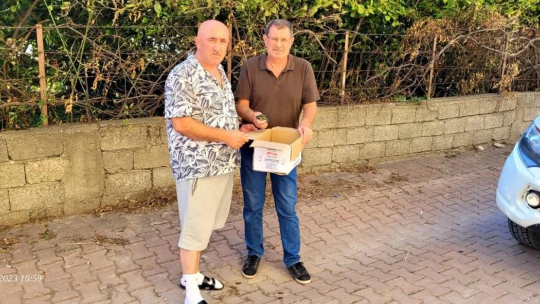 Yaralı yalıçapkını ve karga koruma altında