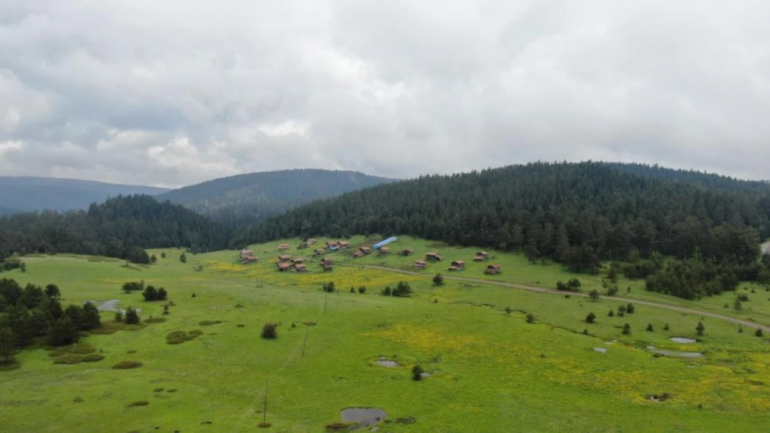 Yaylalar eşsiz bir doğa turu sunuyor