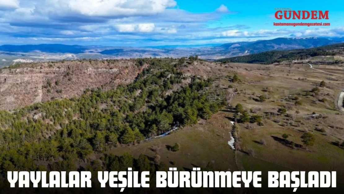 Yaylalar Yeşile Bürünmeye Başladı