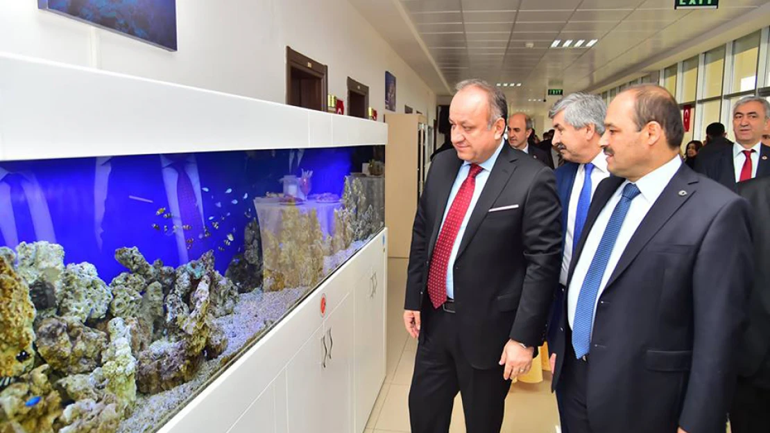 Yılda 200 bin balık üretilecek