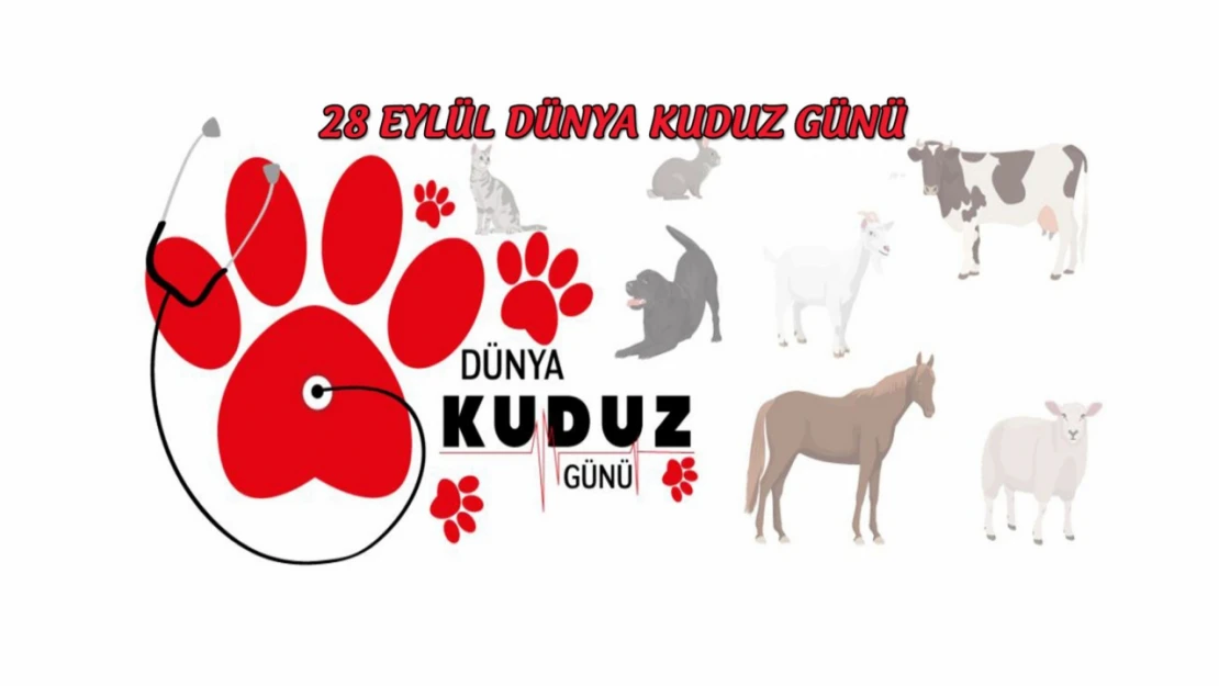 Yılda 59 bin kişi kuduzdan ölüyor