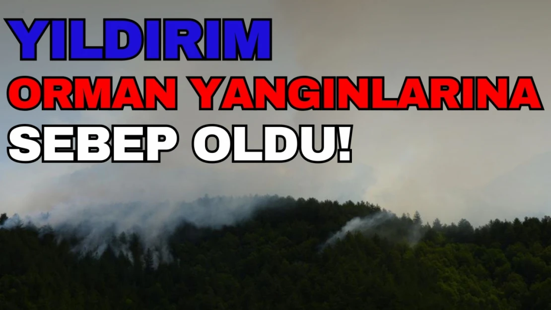 Yıldırım Orman Yangınlarına Sebep Oldu!