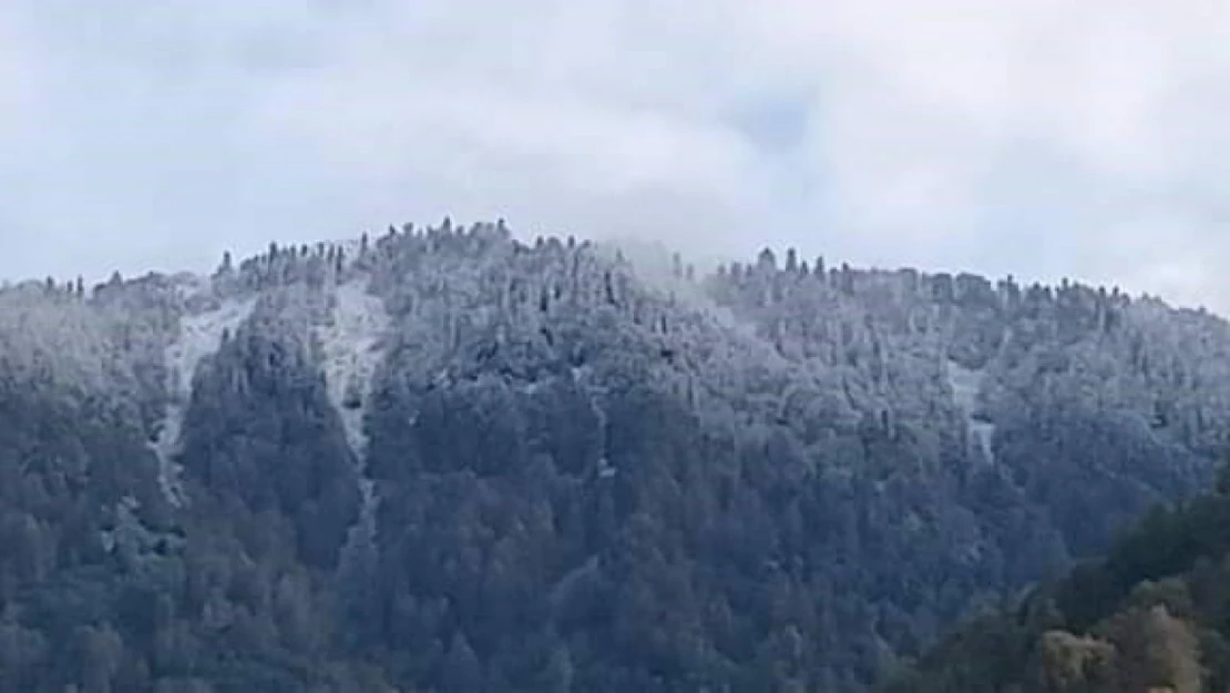 Zonguldak'a Mevsimin İlk Karı Yağdı