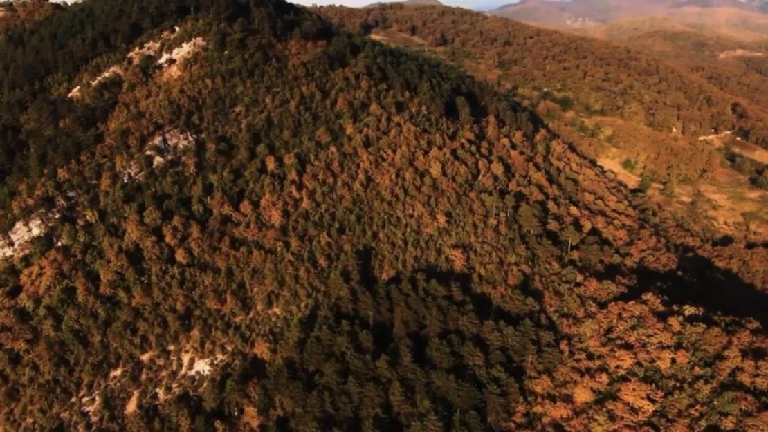 Zonguldak'ta eşsiz sonbahar manzarası