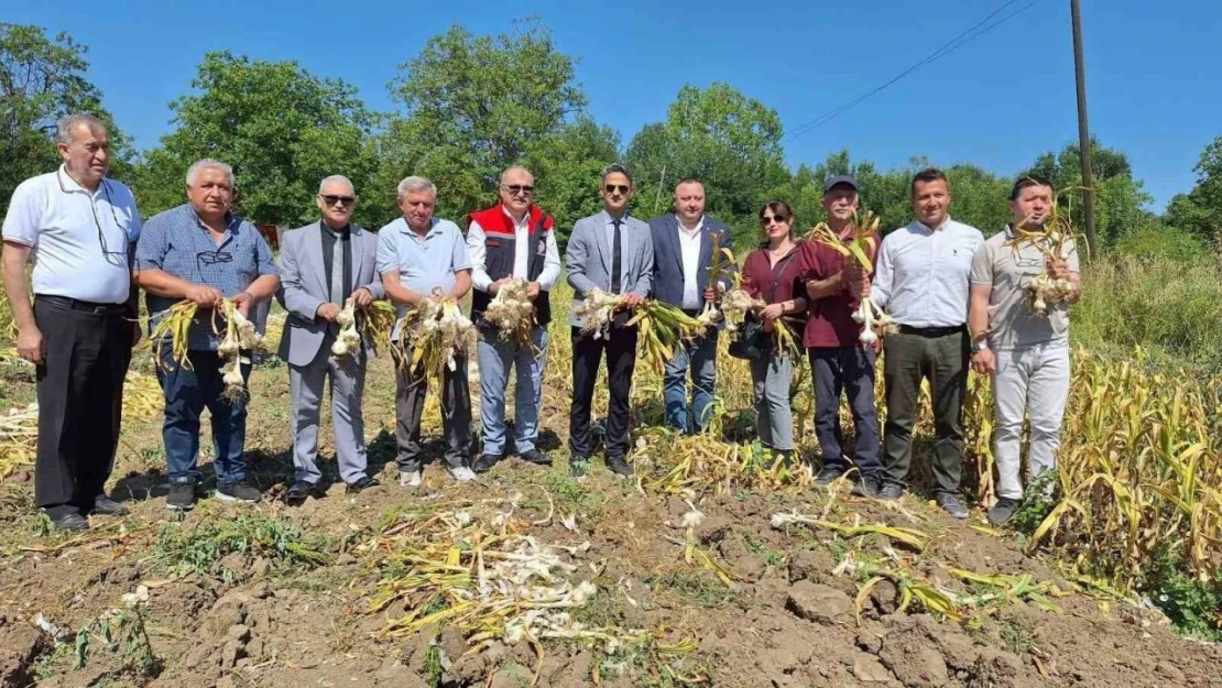 Zonguldak'ta İlk Kez Gerçekleştirildi