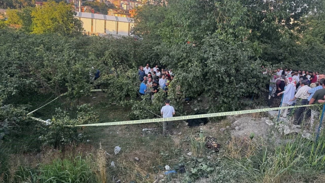 Zonguldak'ta Kamyonet Fındık Bahçesine Uçtu: Sürücü Öldü