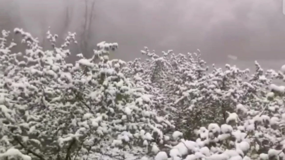 Zonguldak'ta Nisan Ayında Kar Sürprizi