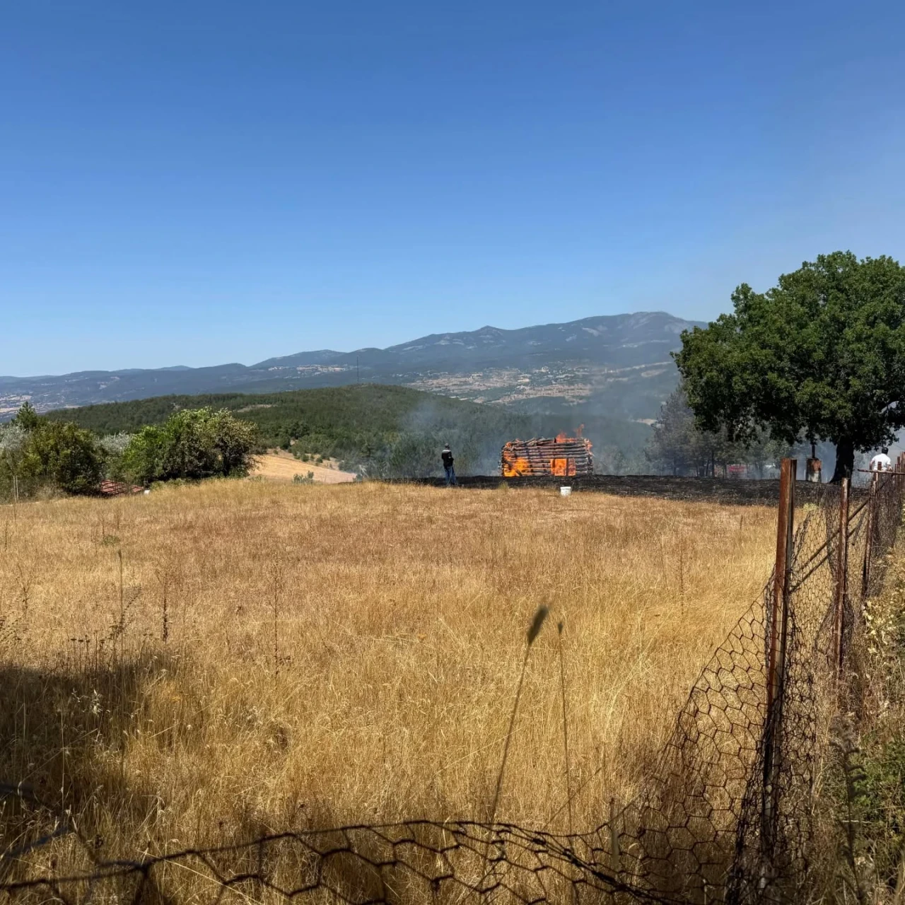 Hızlı Müdahale Yangını Söndürdü