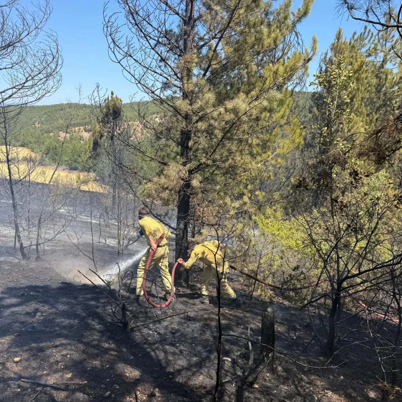 Hızlı Müdahale Yangını Söndürdü