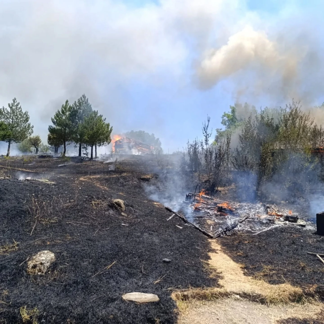 Hızlı Müdahale Yangını Söndürdü