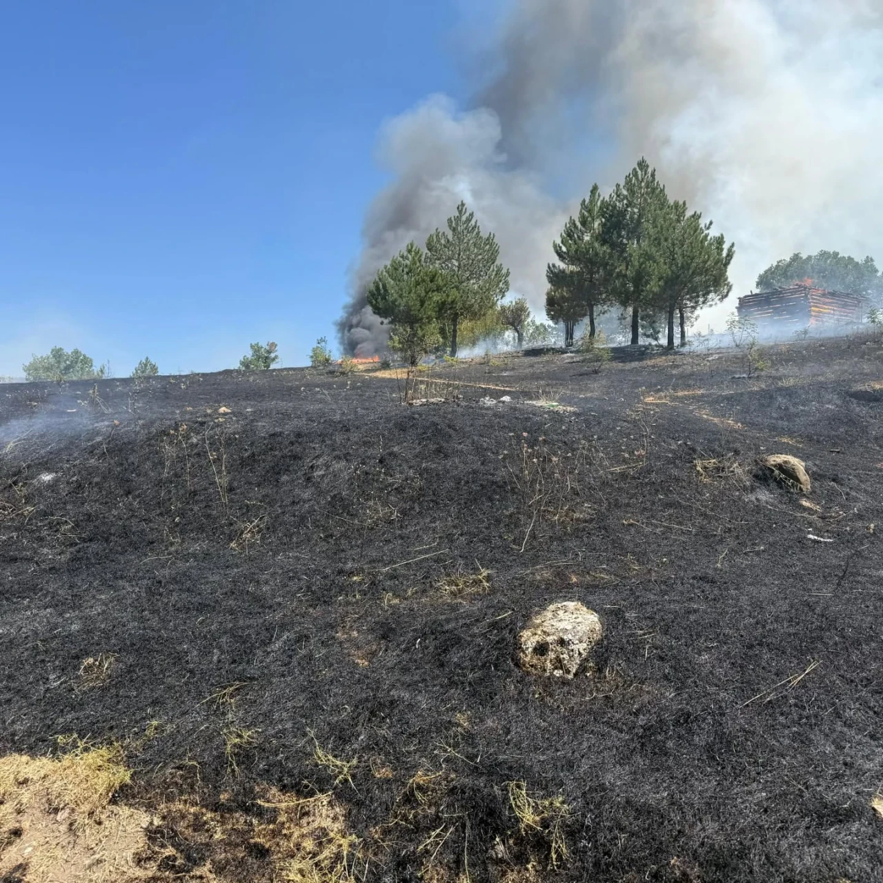 Hızlı Müdahale Yangını Söndürdü